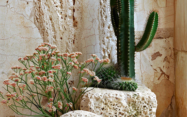 Detalle de textura de travertino